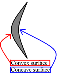 Convex surface and Concave surface